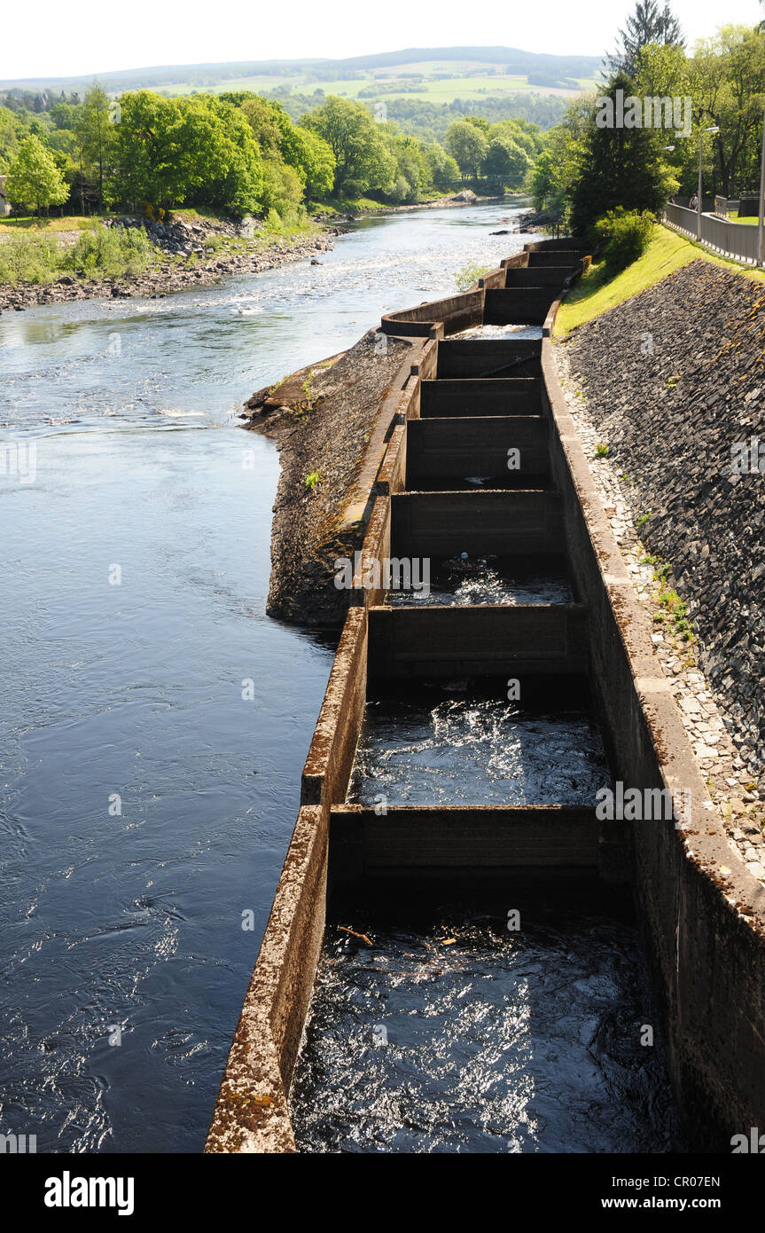 The fish ladder on the River Tummel, Pitlochry, Perthshire Stock Photo -  Alamy