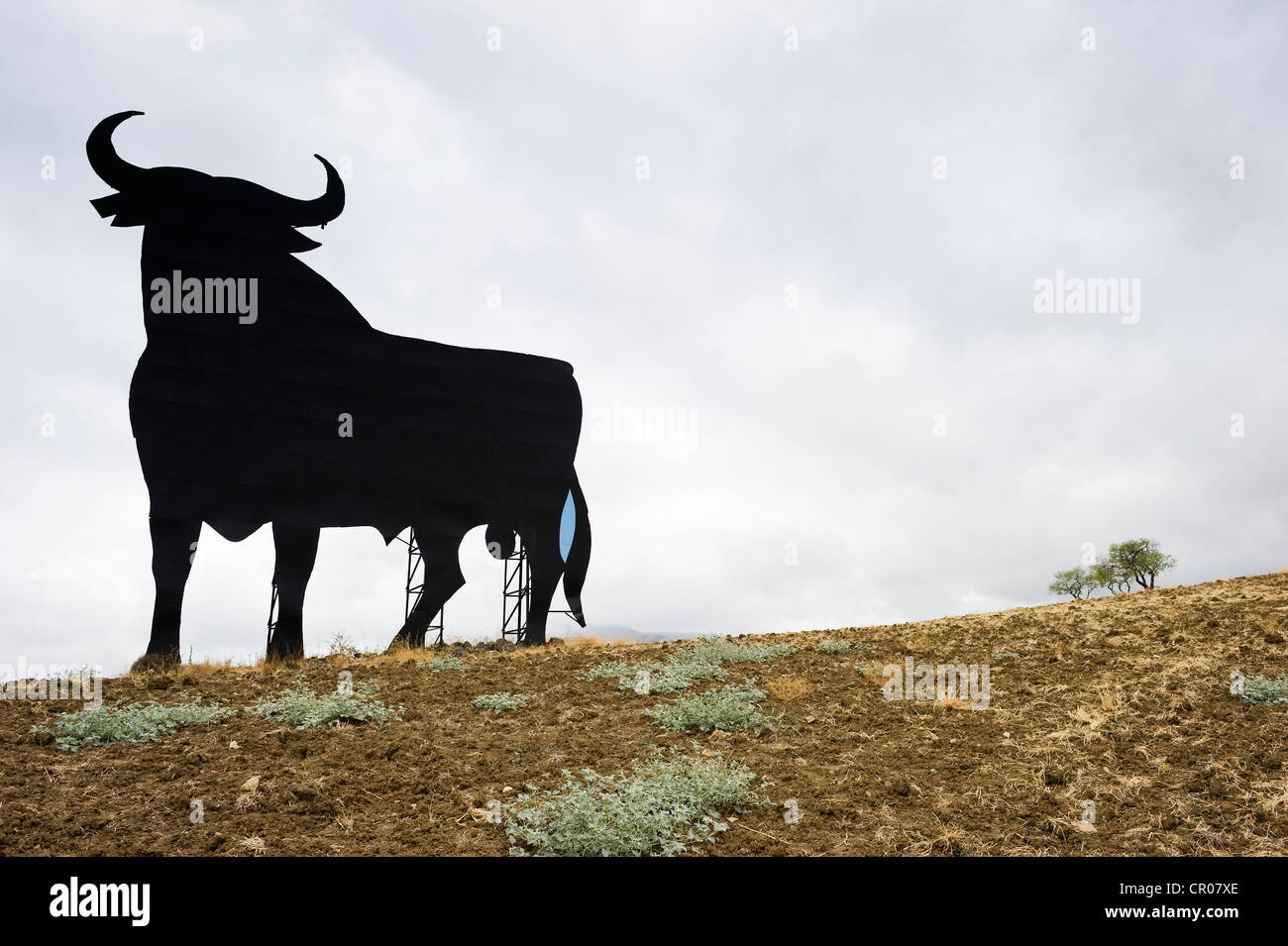 Osborne bull advertising sign near Malaga, Andalusia, Spain, Europe Stock Photo