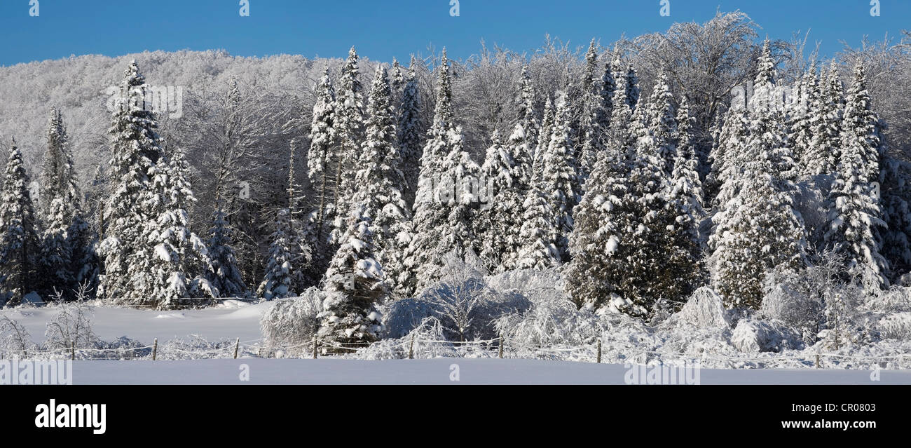 Winter landscape, Ville de Lac Brome, Quebec, Canada Stock Photo Alamy