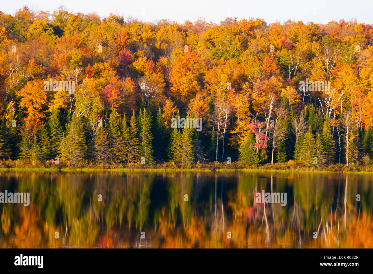 Autumnal forest and pond, South Bolton, Quebec, Canada Stock Photo