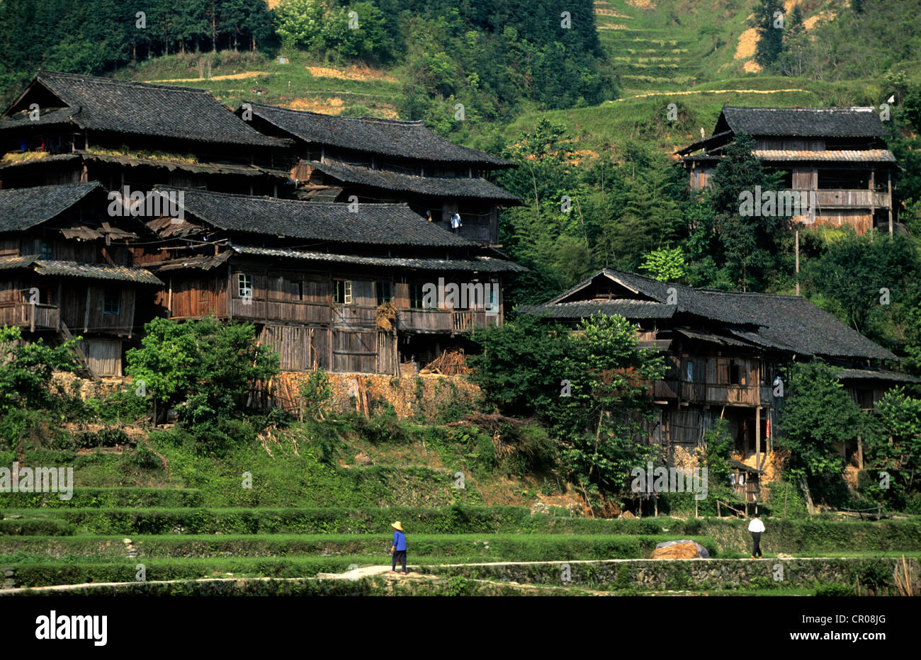 China, Guanxi Province, Sanjiang, village of minorities Dong Stock Photo