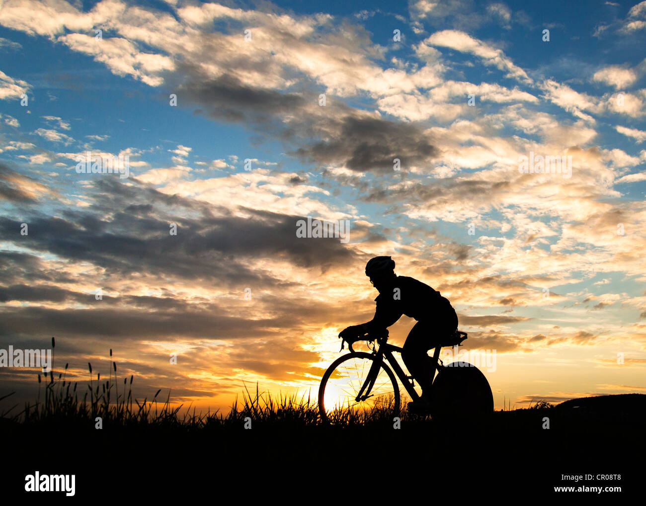 silhouette of a cyclist in sundown Stock Photo