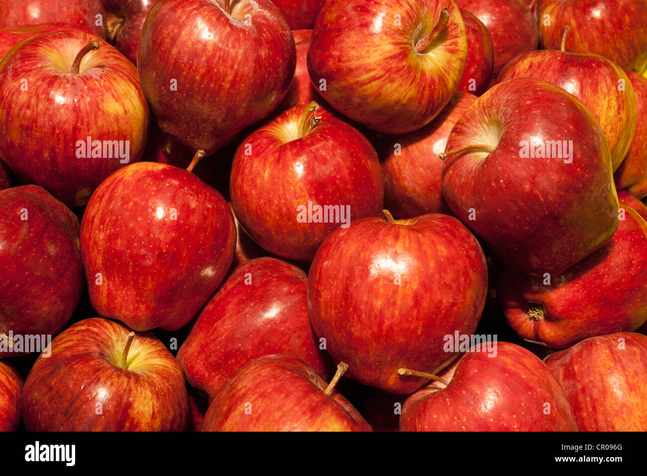 Red Delicious apples Stock Photo Alamy