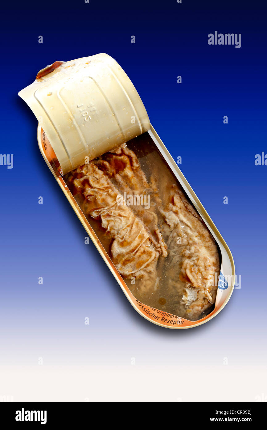 Open tin can with fried herring in a spicy marinade Stock Photo Alamy