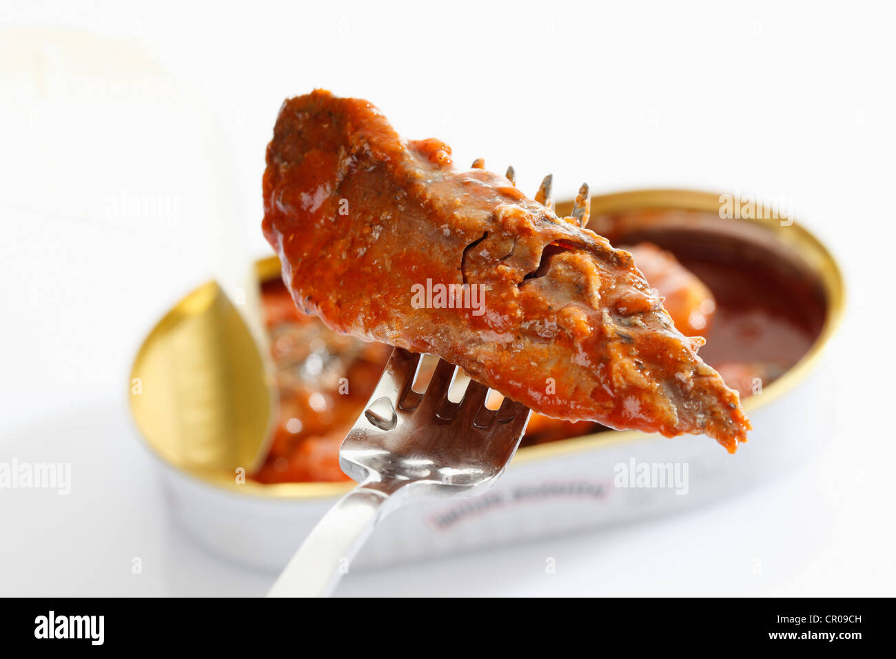 Open tin can with mackerel fillets in tomato sauce, one mackerel fillet