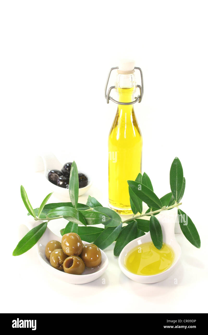 Olive oil with olives and olive branch served in bite spoons Stock ...