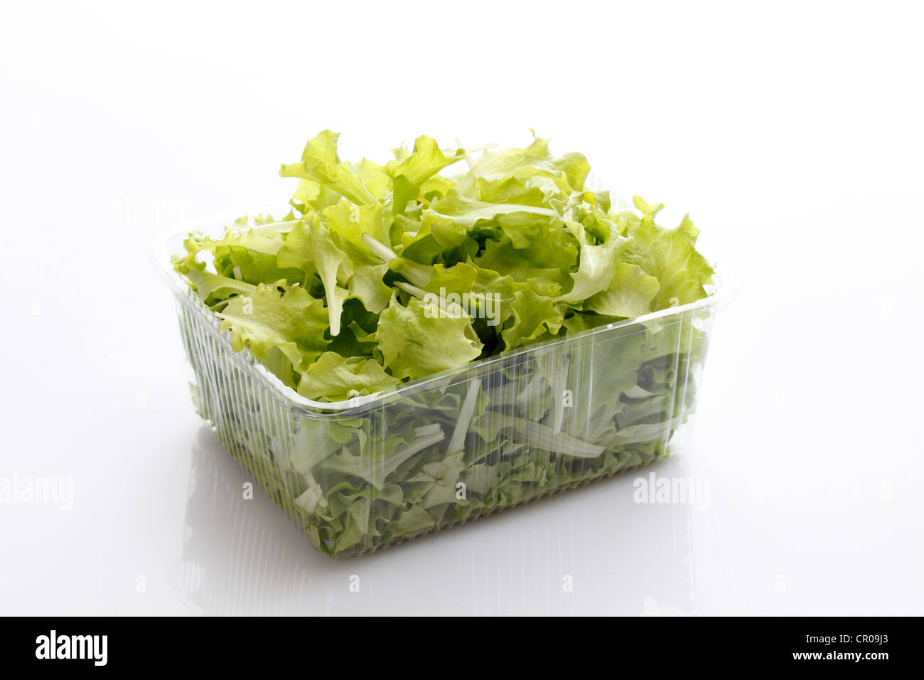Italian lettuce in a plastic bowl Stock Photo Alamy