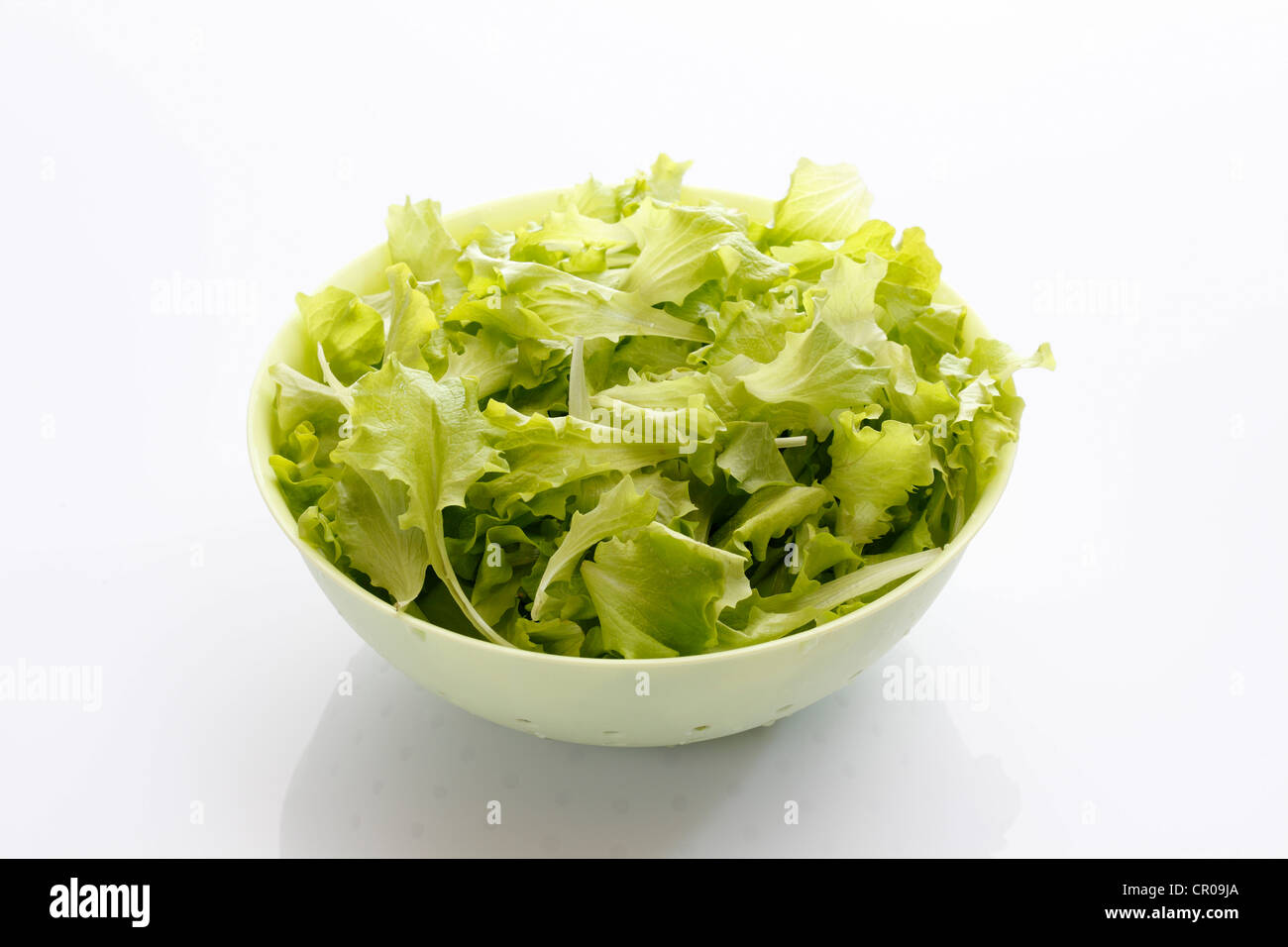 Italian lettuce in a white bowl Stock Photo Alamy