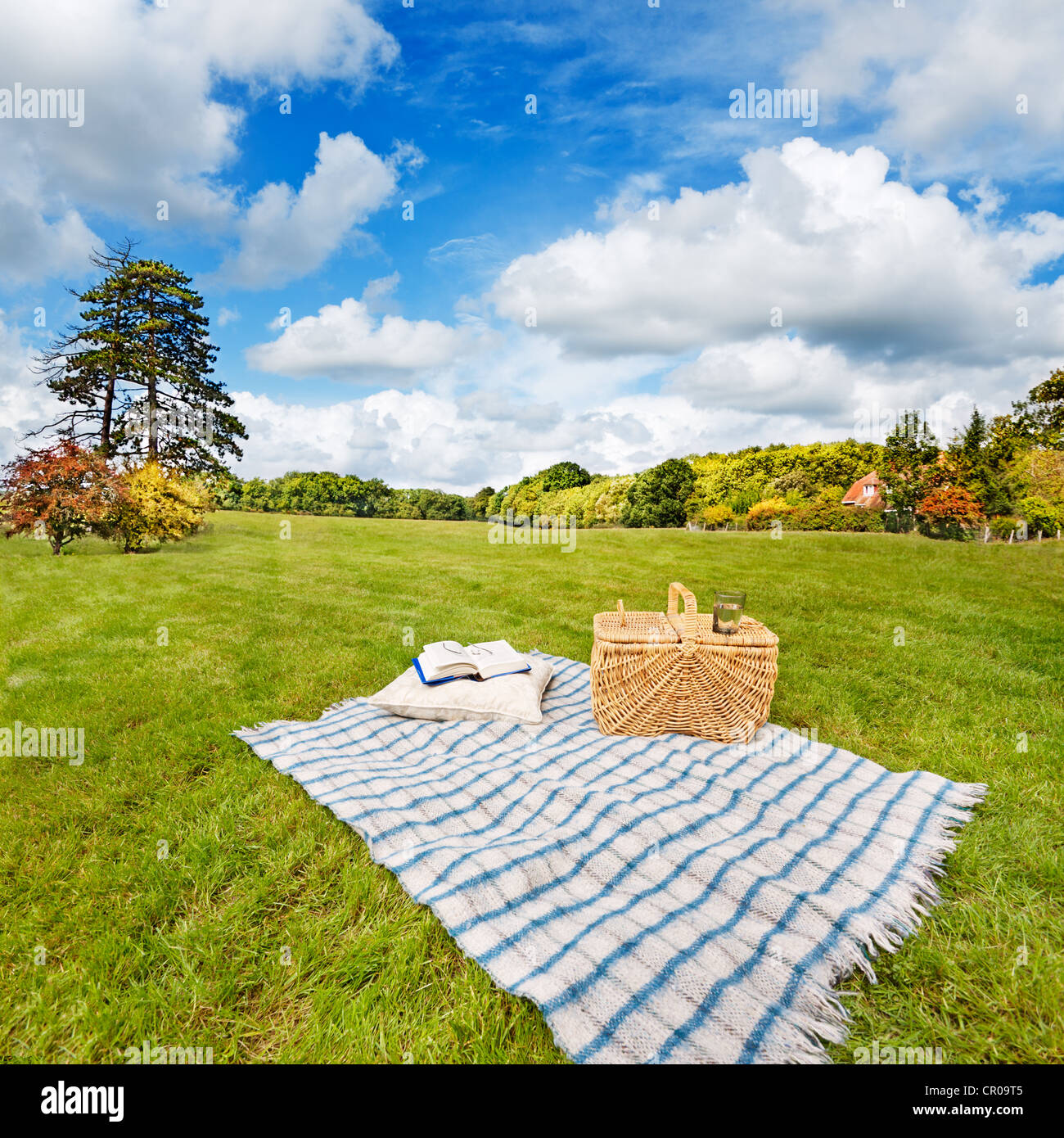 picnic blanket with pillow