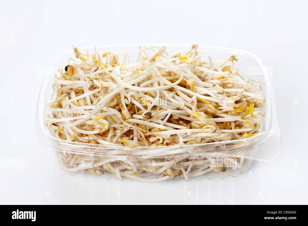 Bean sprouts in a plastic dish, Mung beans (Vigna radiata) Stock Photo