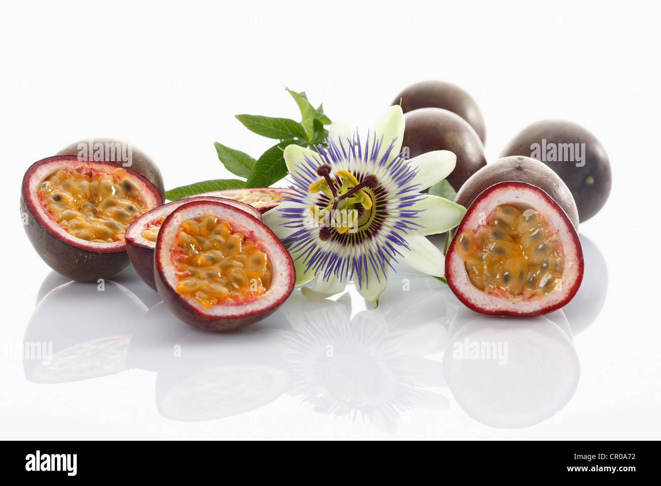 Passiflora Edulis Tango, Frutto Della Passione Molto Raro - 5 - Foto 9