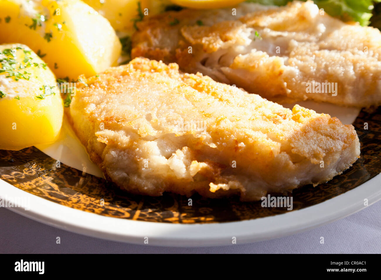 Redfish fillet in batter with boiled potatoes Stock Photo