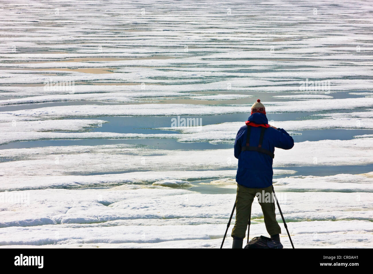 Tourist photographing frozen ice in the Arctic Ocean, Sorgfjord, Spitsbergen, Norway Stock Photo