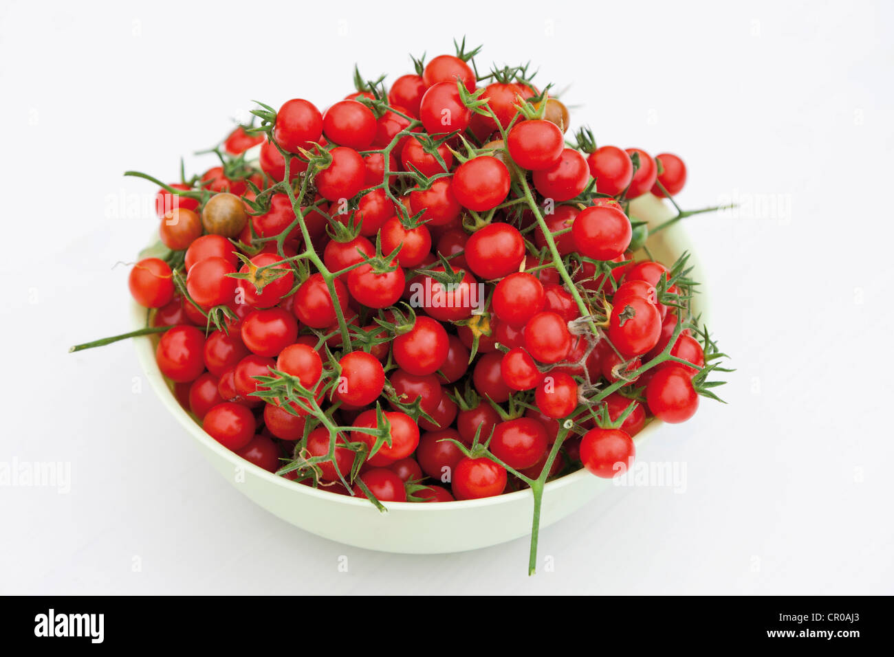 Cherry tomatoes, cocktail tomatoes, in a bowl Stock Photo Alamy