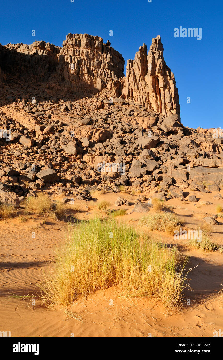 Sandstone rock formation on Tasset Plateau, Tassili n'Ajjer National Park, Unesco World Heritage Site, Wilaya Illizi, Algeria Stock Photo