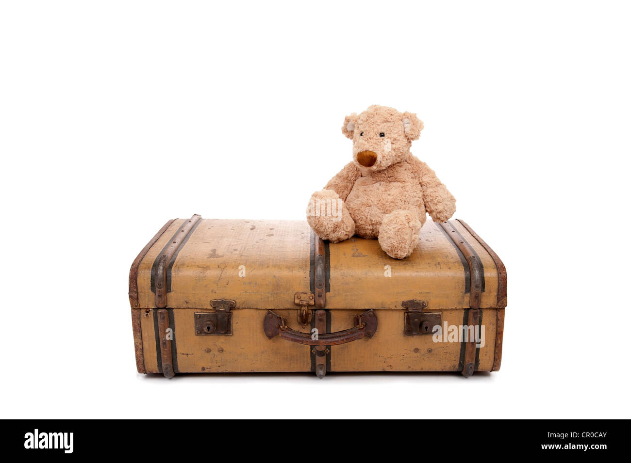 Teddy bear seated on an old vintage suitcase Stock Photo Alamy