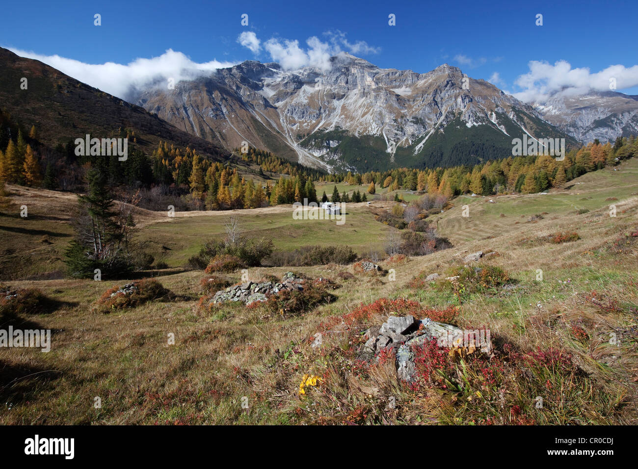 Steineralm Alp, Lake Obernberg, Obernberg, Tyrol, Austria, Europe Stock 