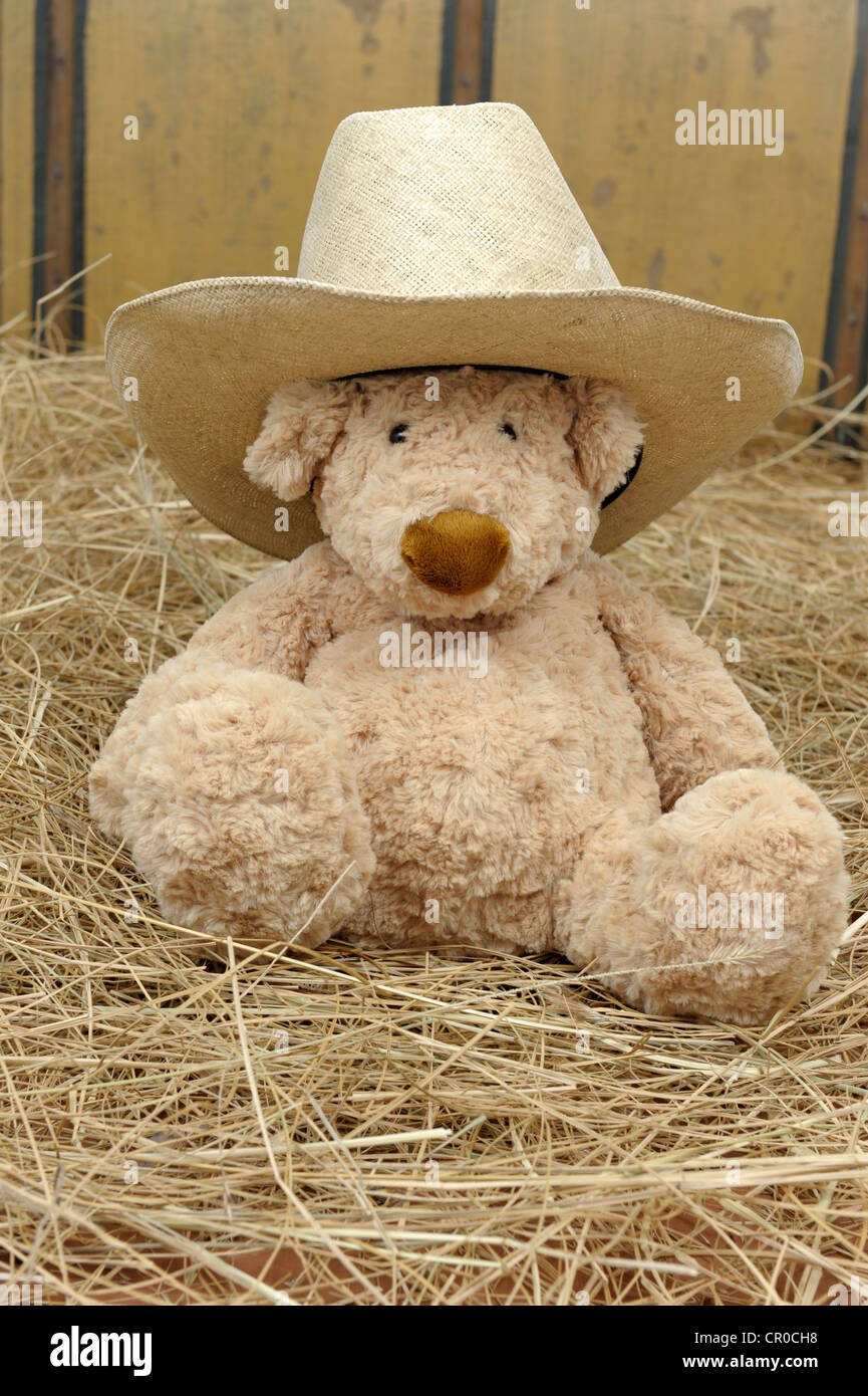 teddy bear with cowboy hat seated in straw Stock Photo - Alamy