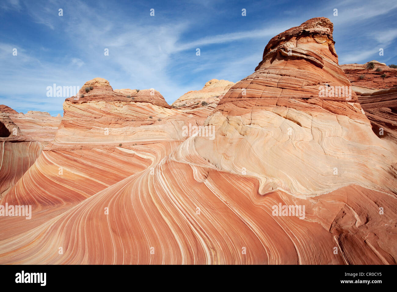Rock formation made of petrified sand dunes, Coyote Buttes North