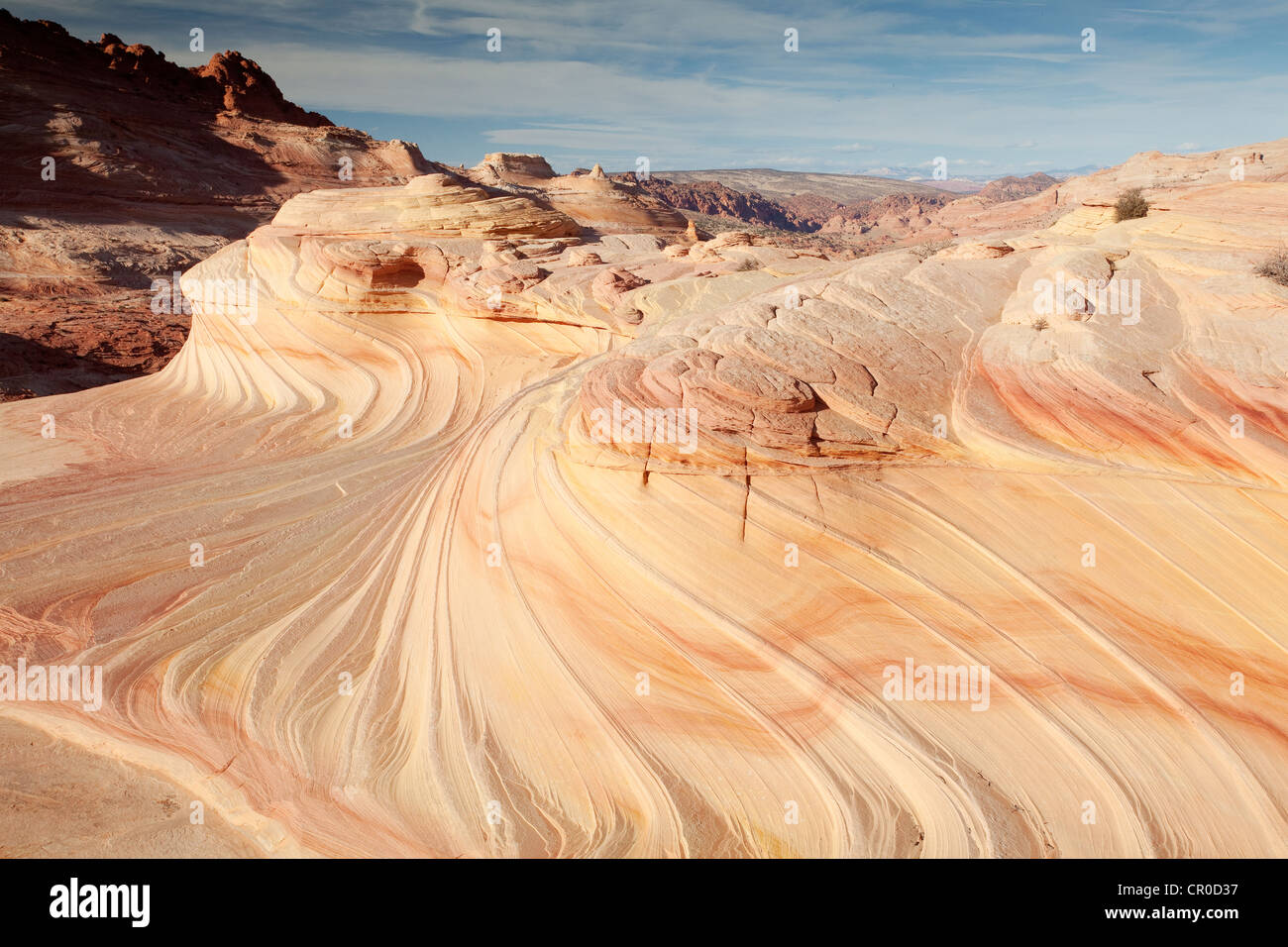 Sand dunes turned into rock, sandstone formations, Coyote Buttes North, Paria Canyon-Vermilion Cliffs Wilderness, Page, Arizona Stock Photo