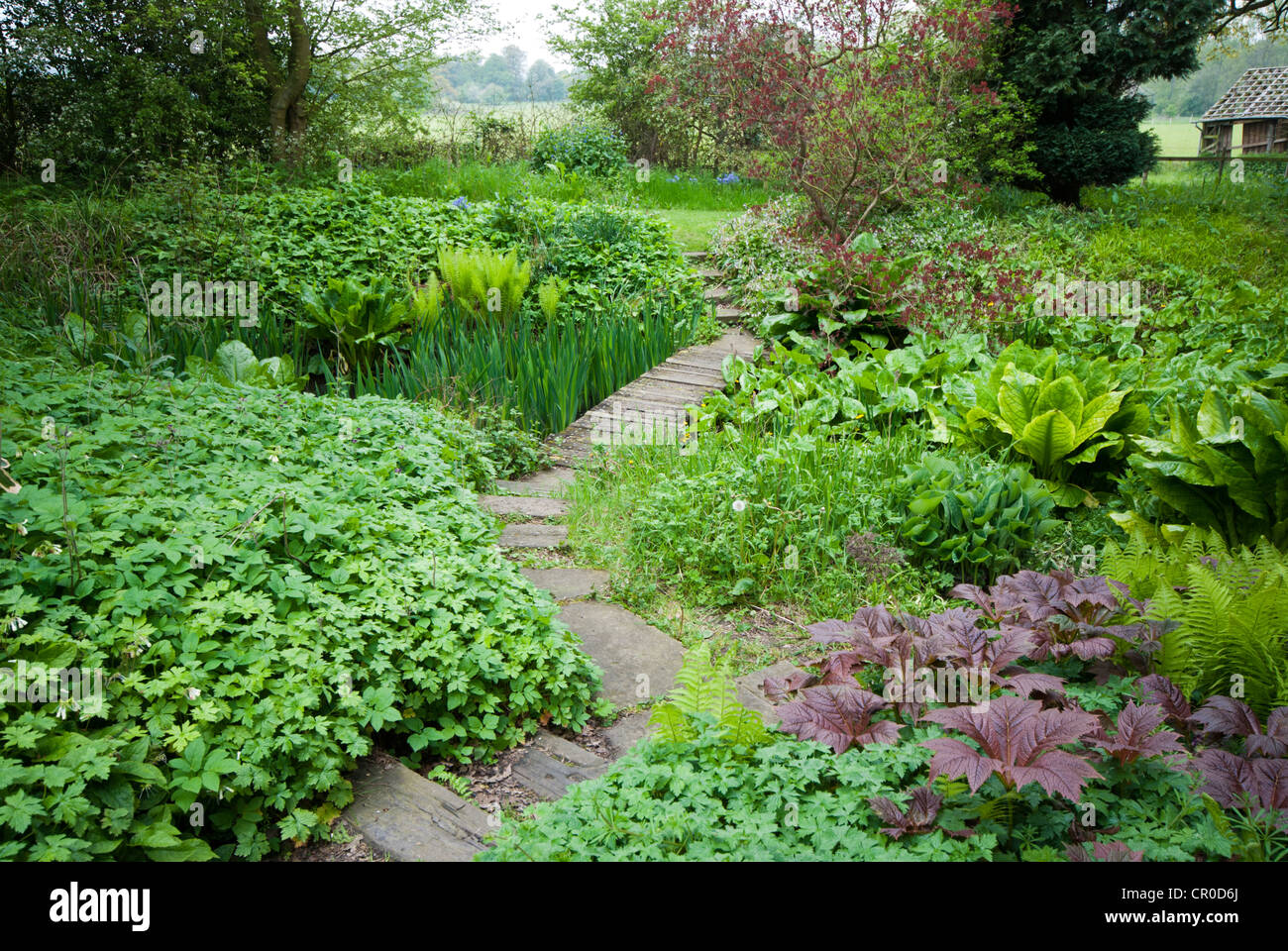 View of a wooden garden path with a variety of plants either side growing over it Stock Photo