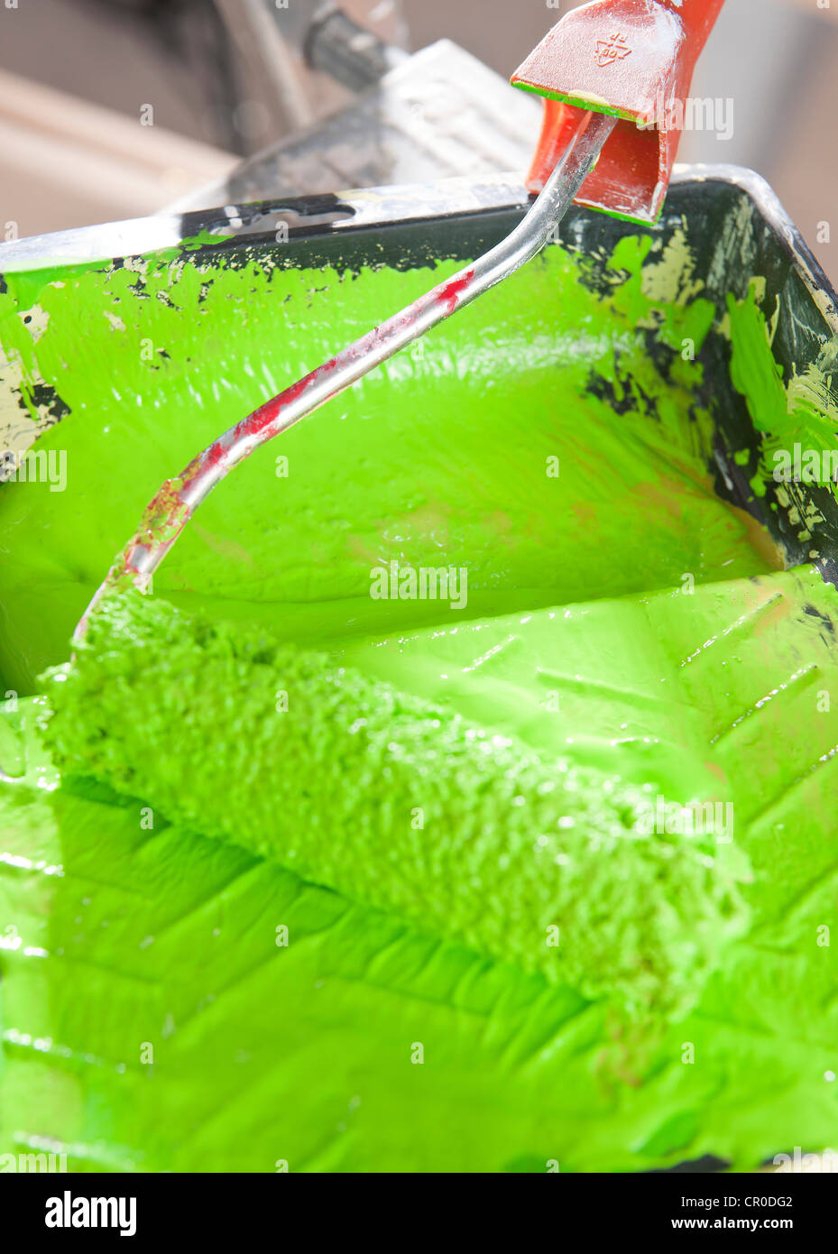 Green paint roller on a ladder Stock Photo - Alamy
