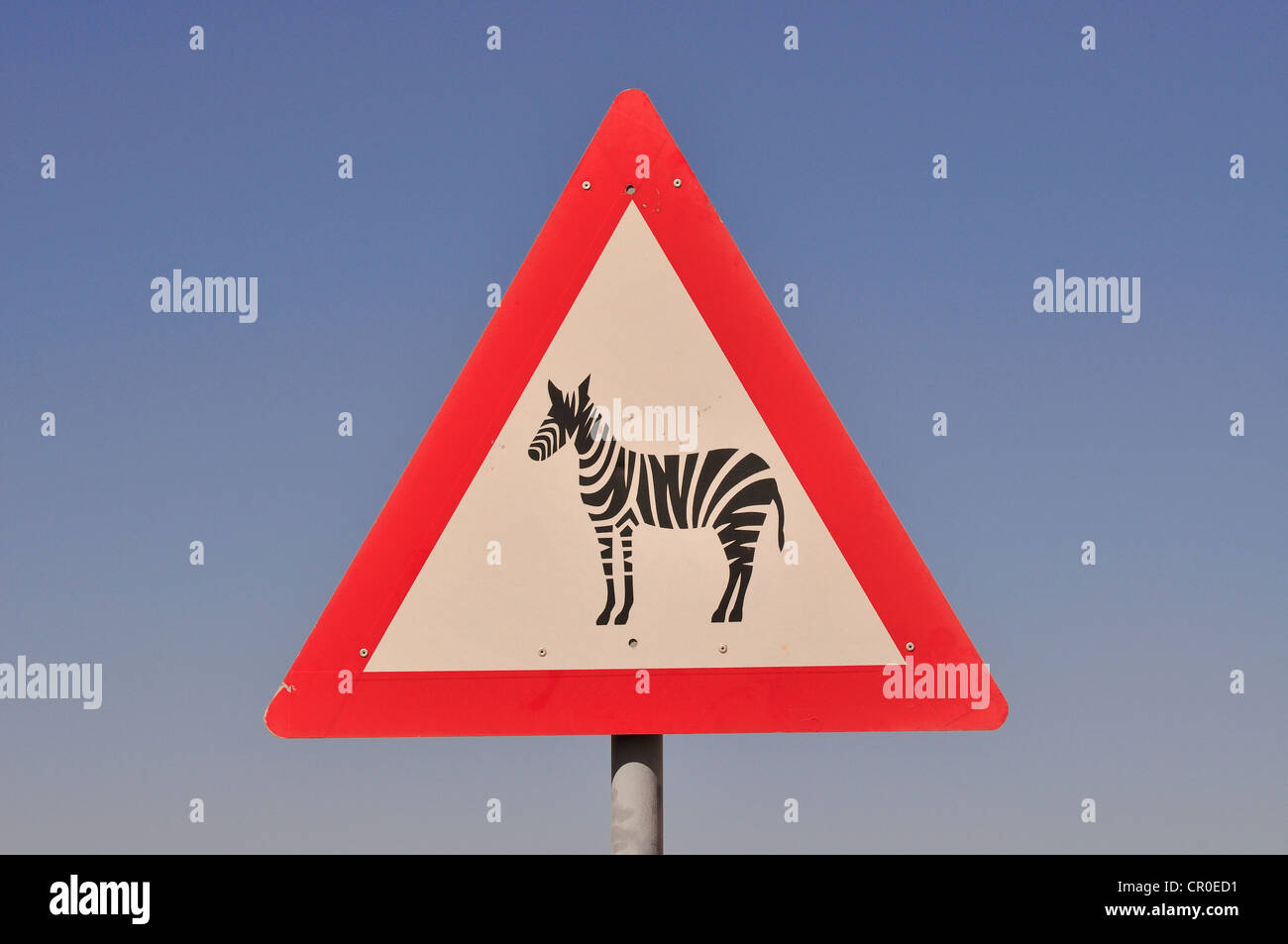 Warning sign for zebras at the entrance of the Namib Rand Nature Reserve, Namib Desert, Namibia, Africa Stock Photo