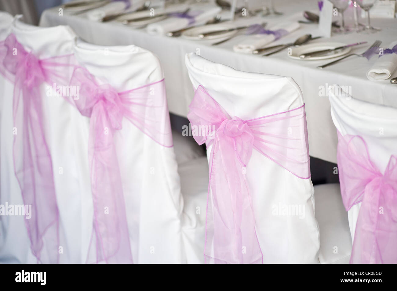 Backs Of Chairs At Wedding Reception With Pink Chiffon Bows And