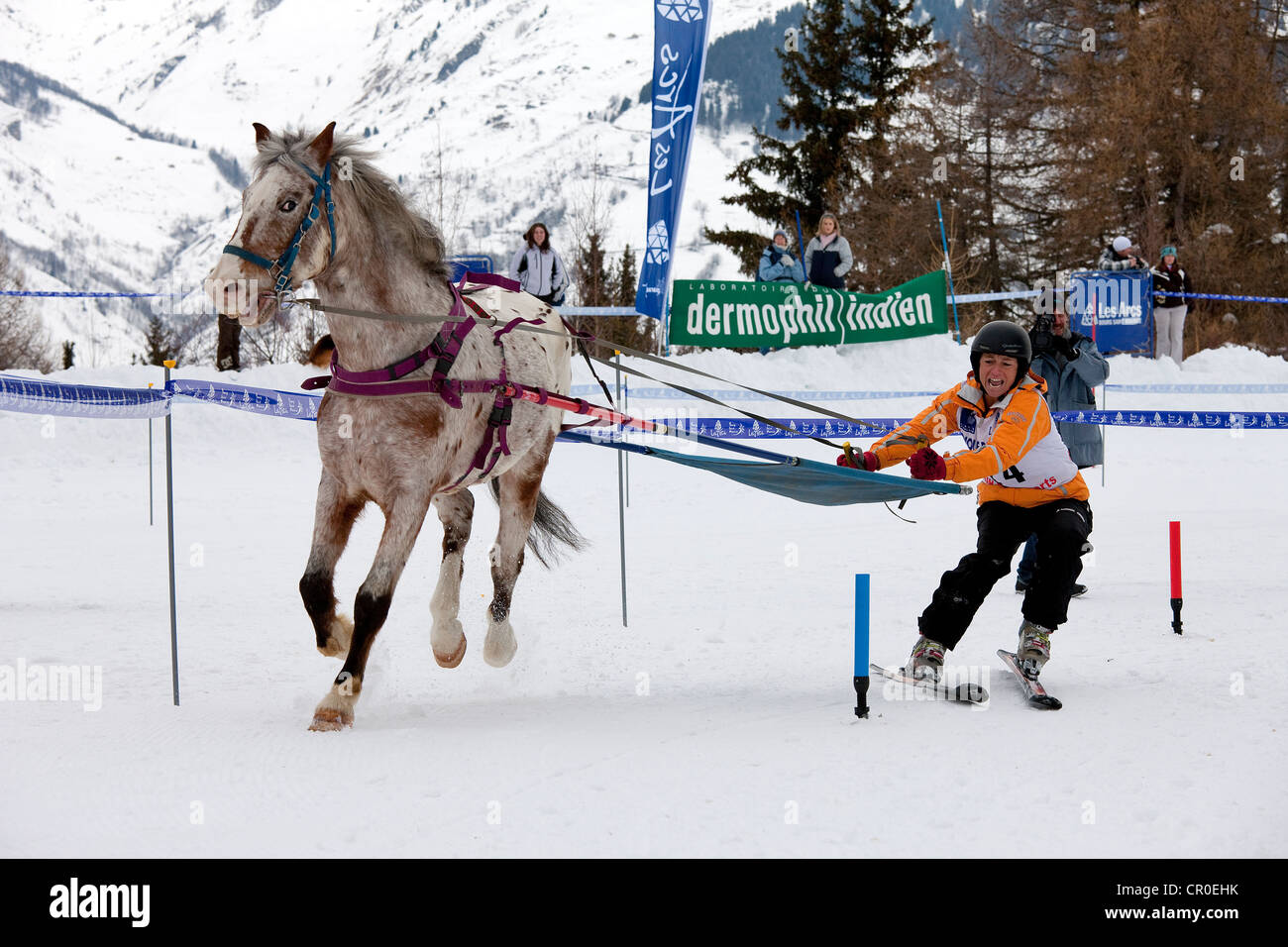 France, Savoie, Les Arcs 1600, Massif de La Vanoise, High Tarentaise Valley, Skijoring competition Stock Photo