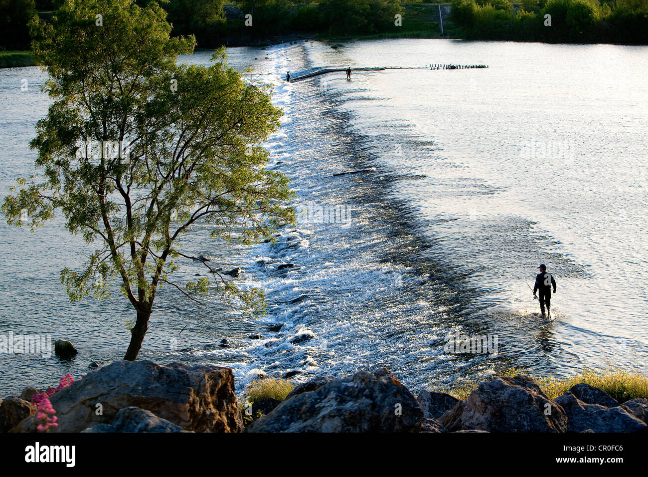 France, Gard, near Beaucaire, A fish ladder also known as a fishway