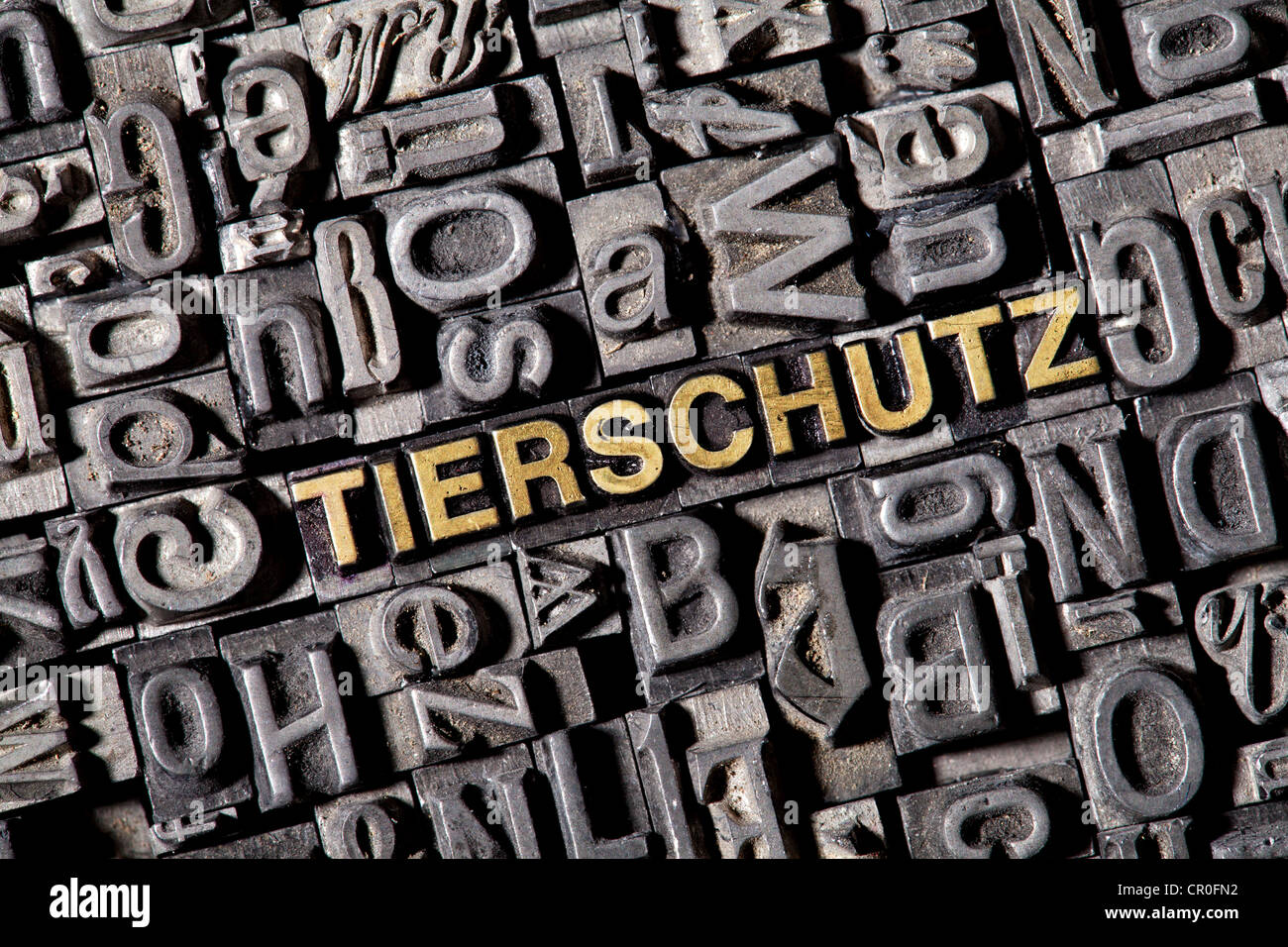The word 'Tierschutz', German for 'animal welfare', made of old lead type Stock Photo