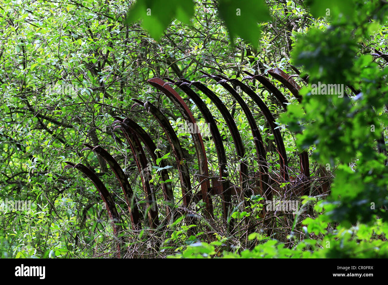 Wrought iron fabricator a something that comes up all the time either paint you paint it or you do not. Green and rusty, old. Stock Photo