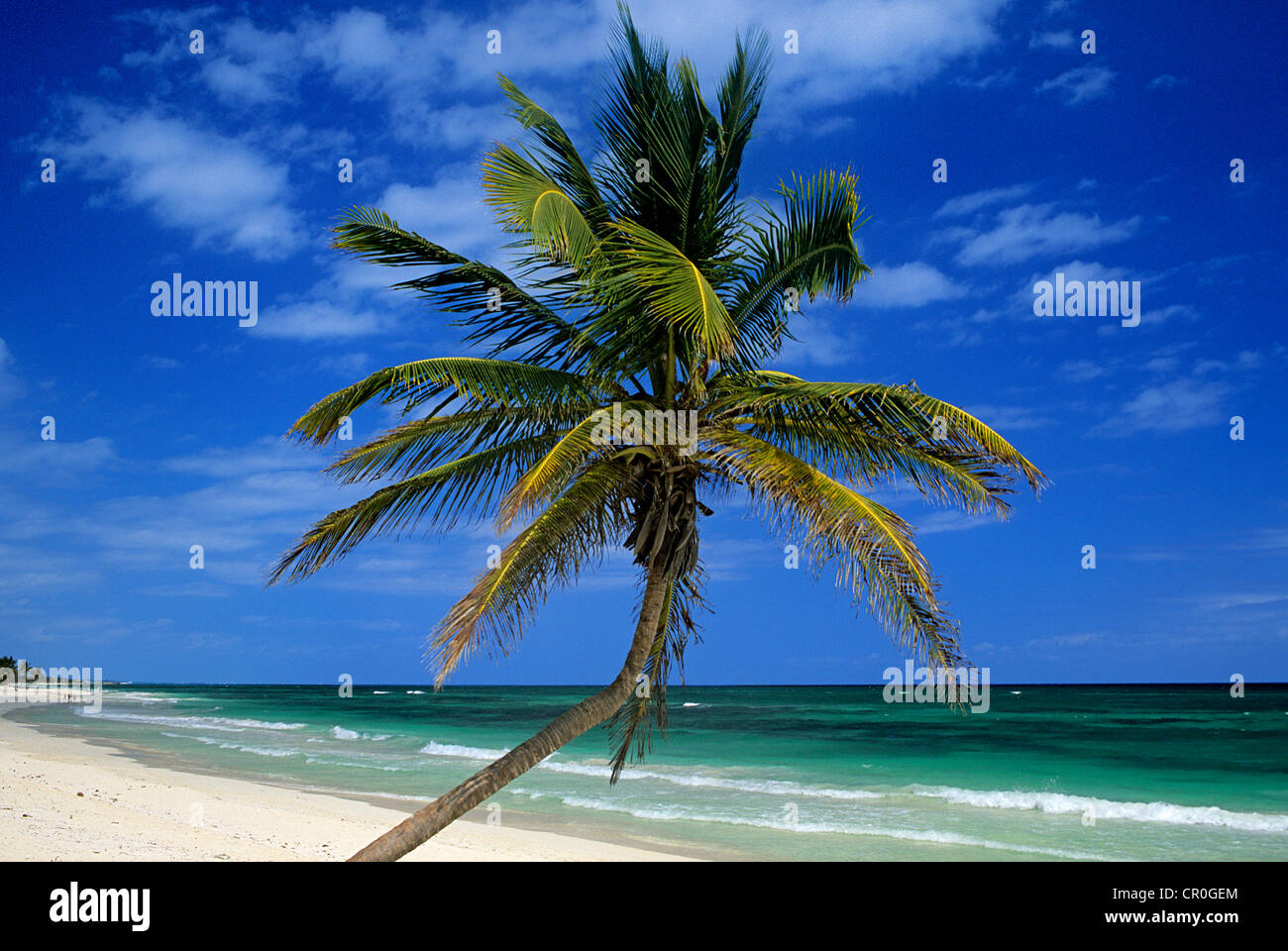 Weather akumal quintana roo mexico