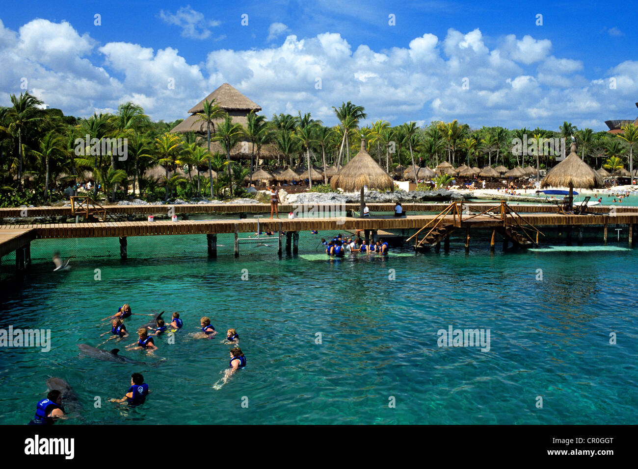 Mexico, Quintana Roo State, Riviera Maya, Xcaret Cancun Eco Park, bassin for dolphins Stock Photo