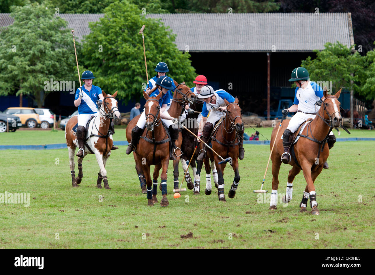 University students polo game Stock Photo Alamy