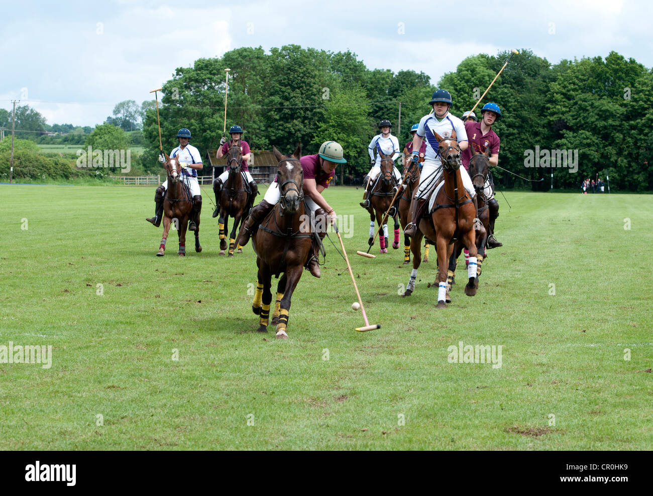 University students polo game Stock Photo Alamy