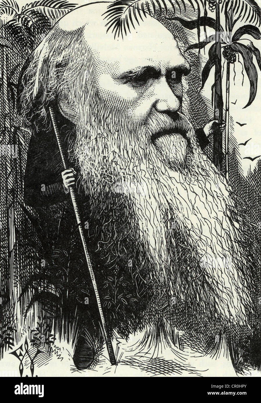 Darwin cartoon hi-res stock photography and images - Alamy