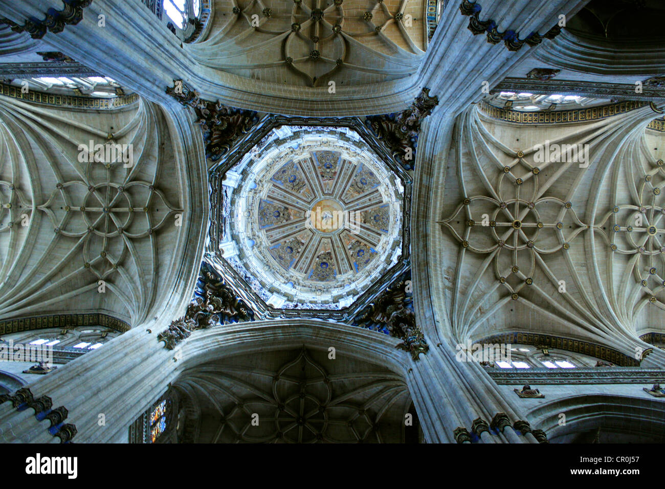 The cathedral ceiling in Salamanca, Castilla y Leon, Spain Stock Photo