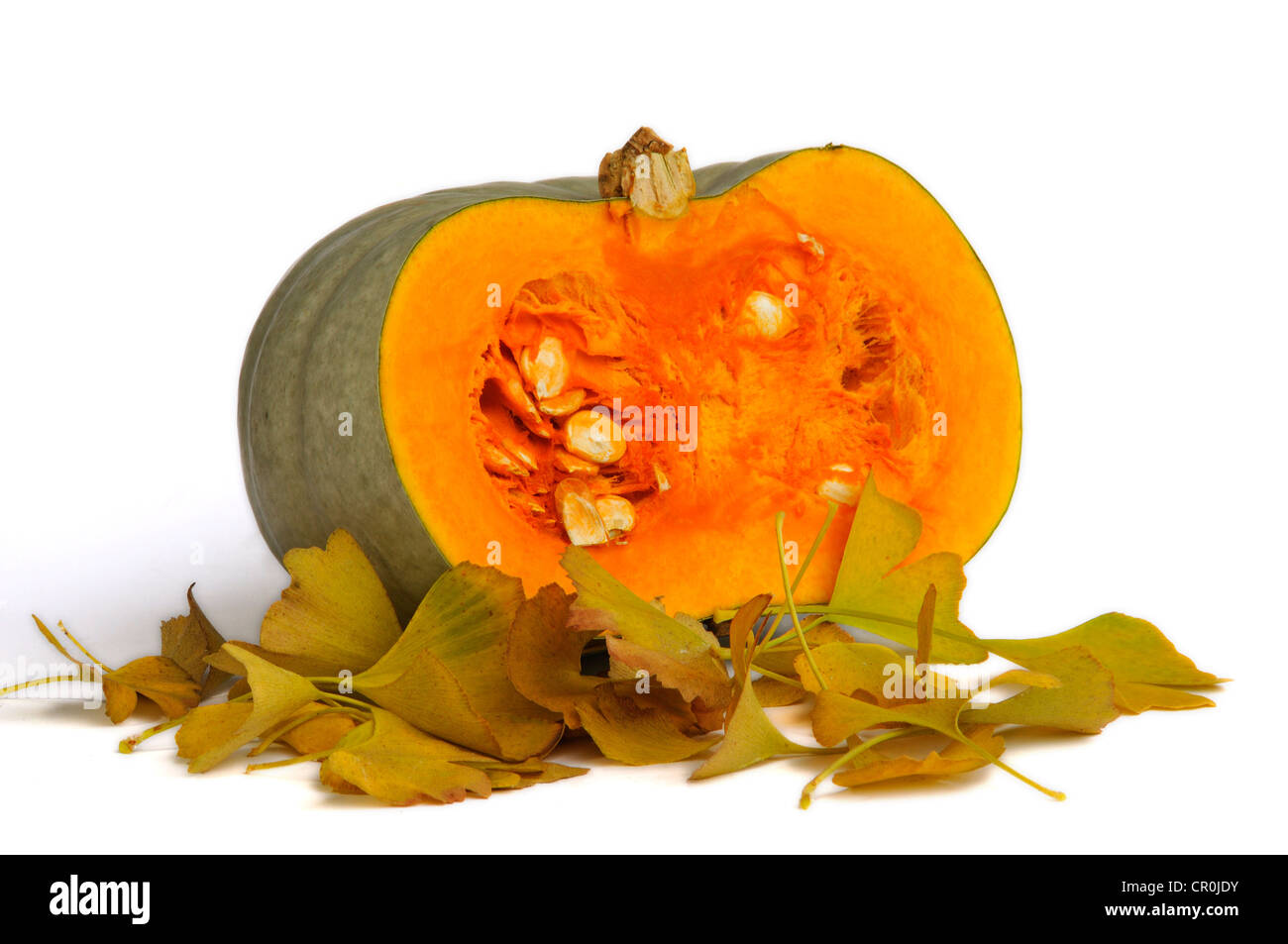Pumpkin, squash, cut open, variety Bleu d'Hongrie Stock Photo Alamy