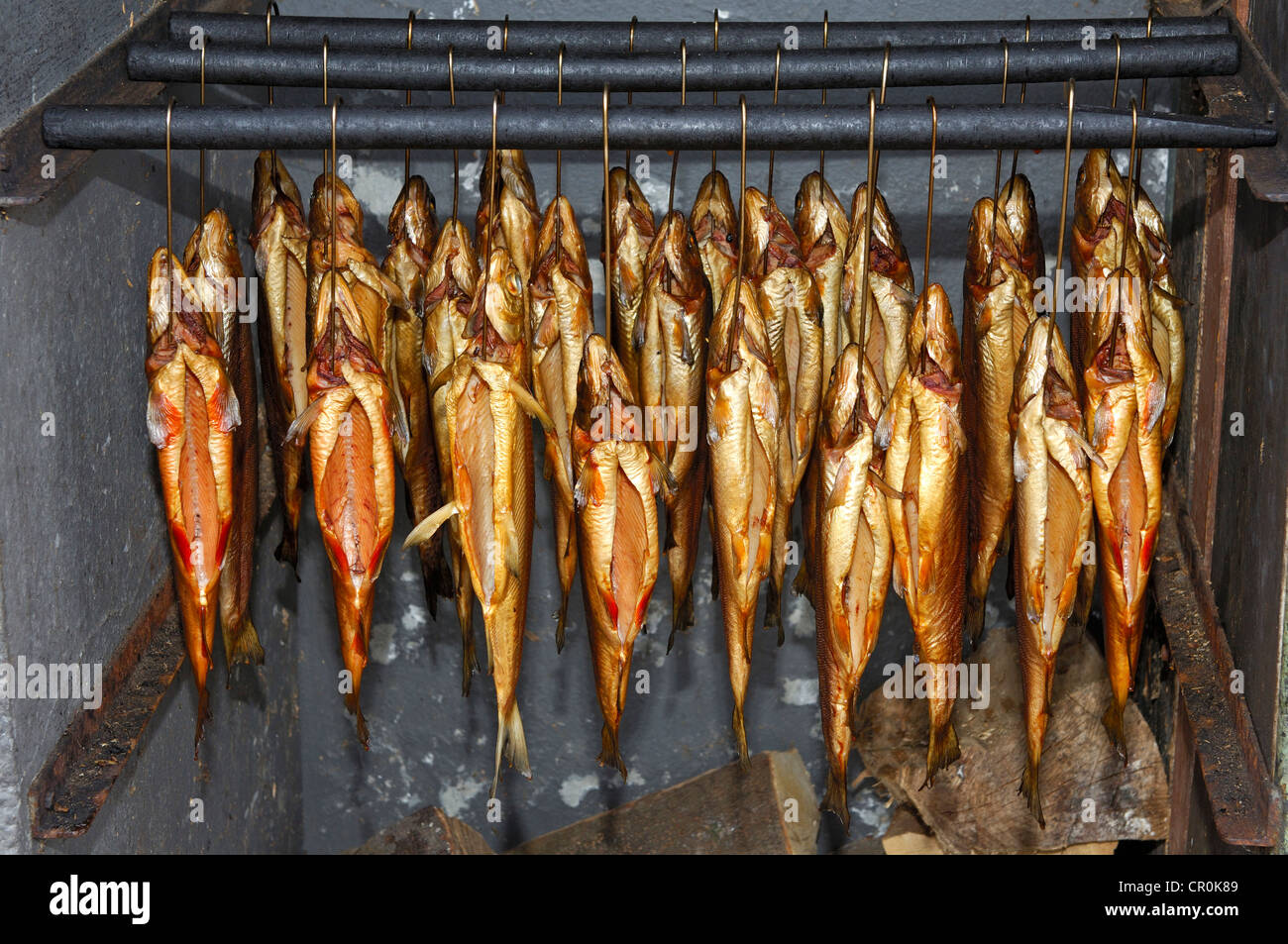 How to smoke fish in smokehouse What can smoke fish 32 How to smoke fish in smokehouse What can smoke fish 2