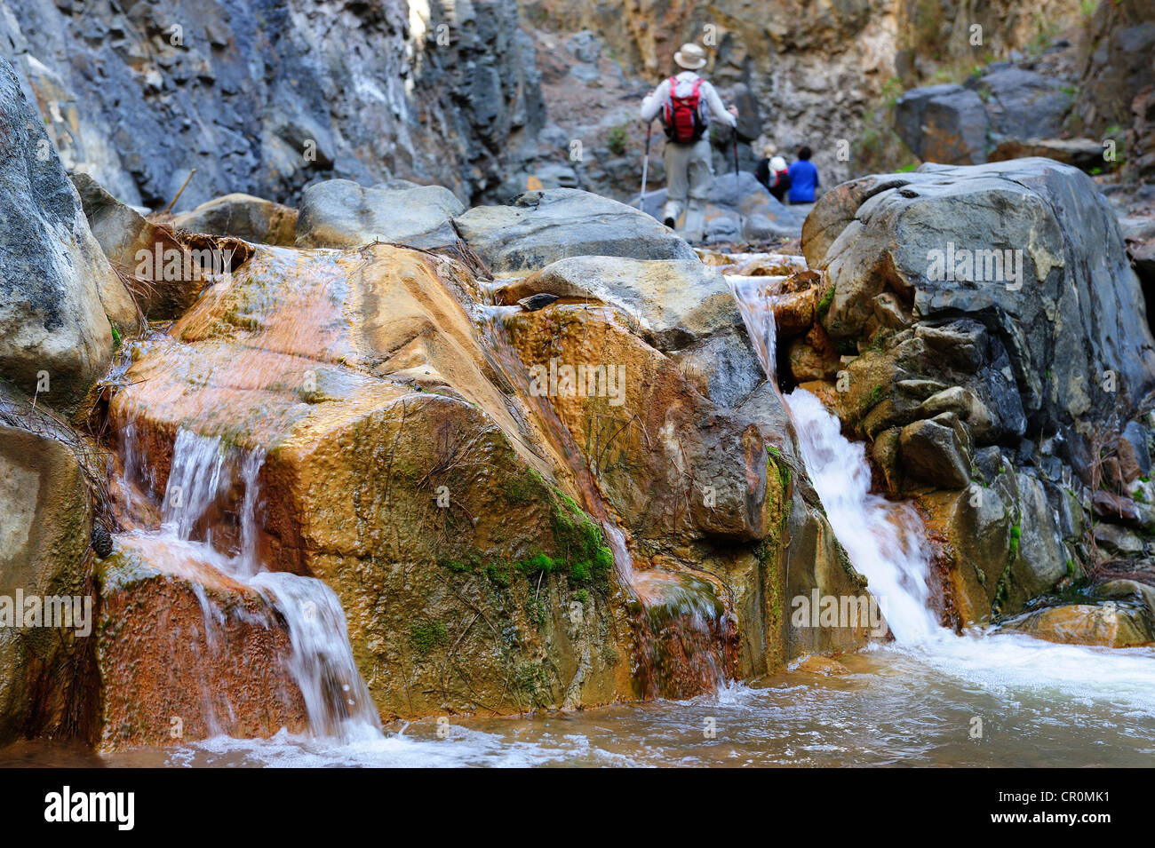 Hikers in the Barranco de las Angustias, Ravine of Anguish, La Palma, Canary Islands, Spain, Europe, PublicGround Stock Photo
