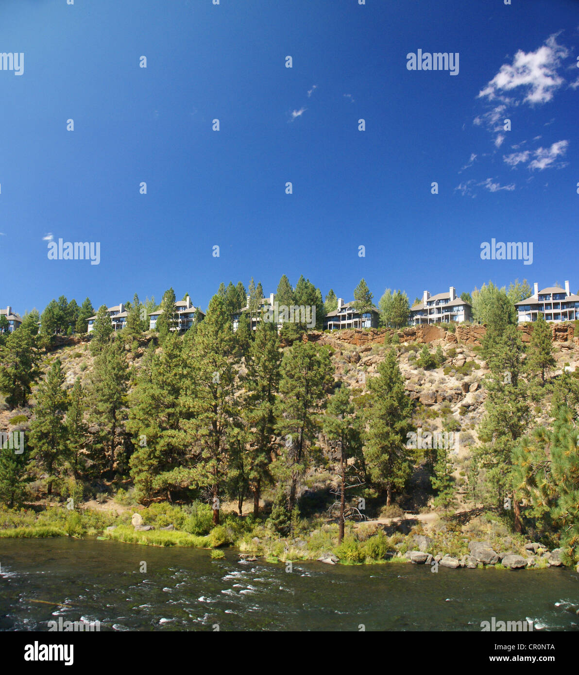 Panorama, modern houses, ponderosa pines and river canyon, Deschutes