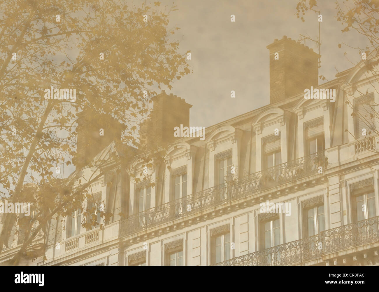 Reflected in a rain puddle hi-res stock photography and images - Alamy
