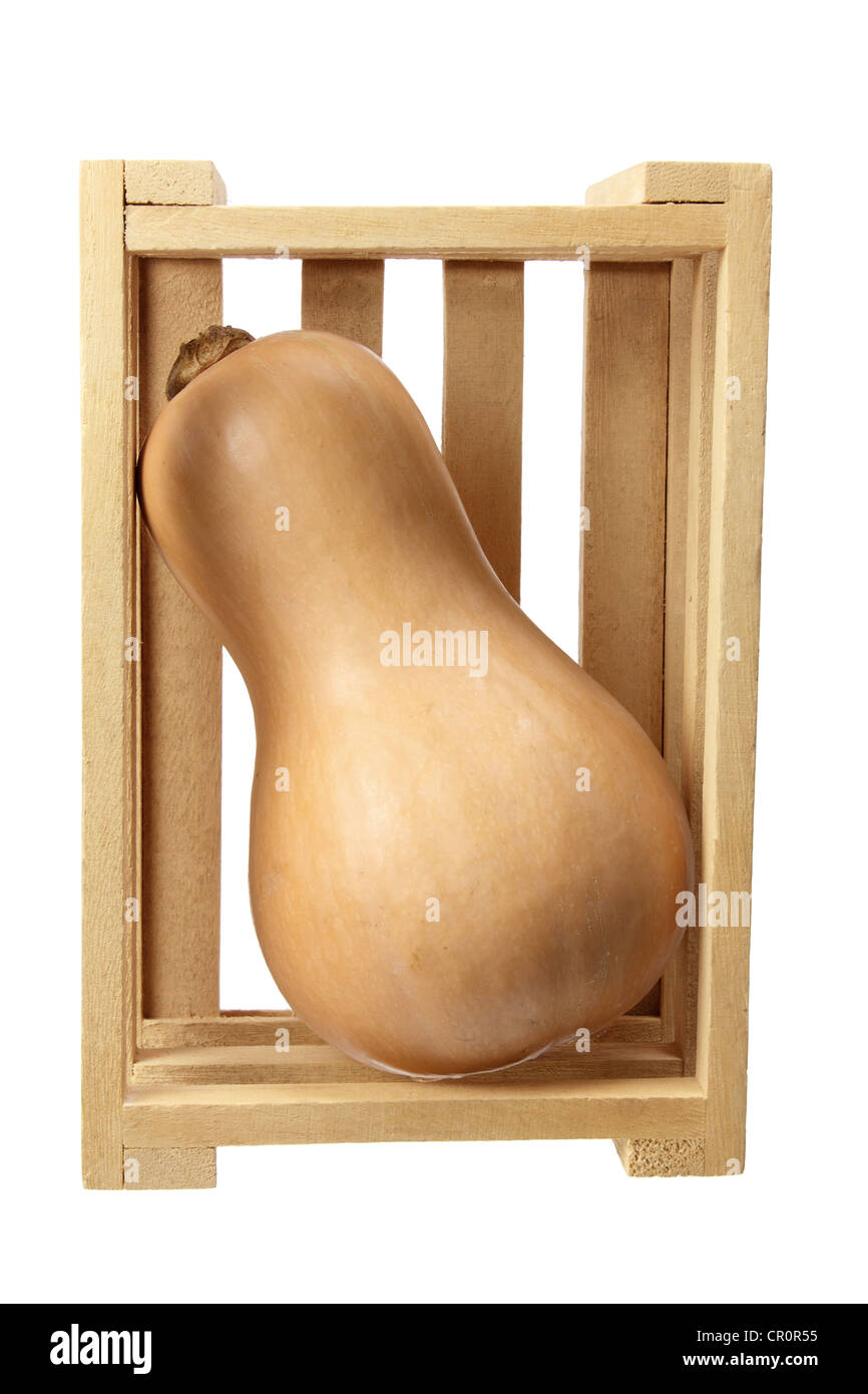 Butternut Pumpkin in Wooden Crate Stock Photo - Alamy