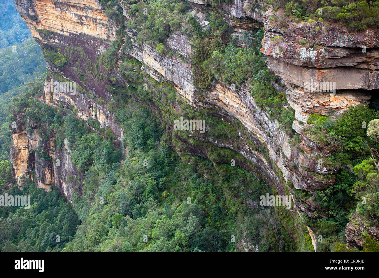 Blue Mountains, Australia near Sydney features deep gorges and rock faces Stock Photo