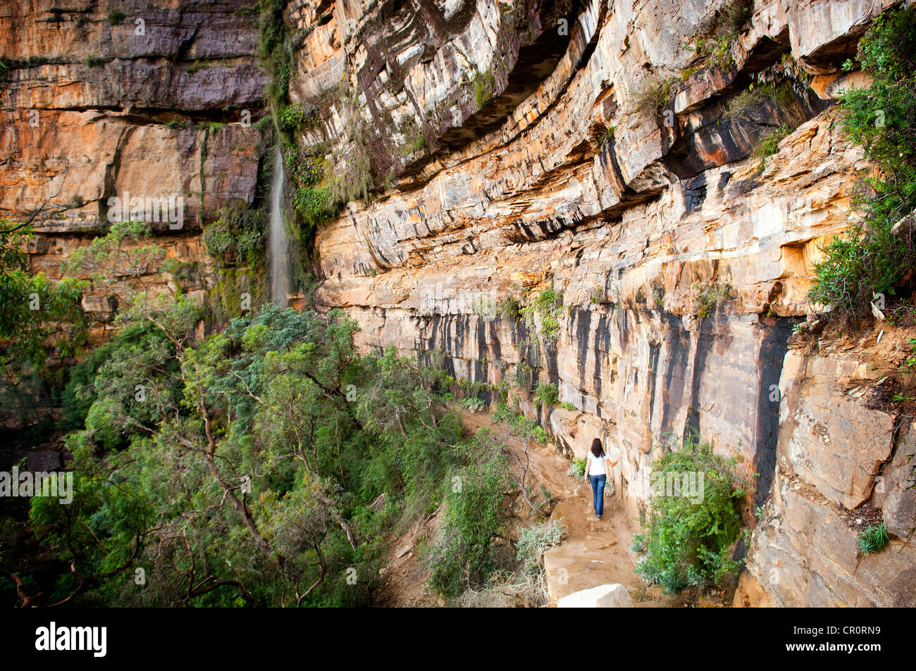 Blue Mountains, Australia near Sydney features deep gorges and rock faces Stock Photo