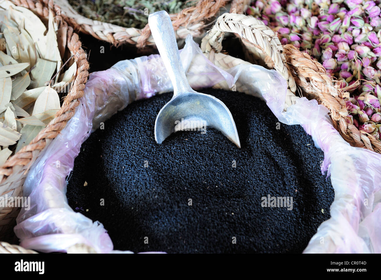 Black cumin (Nigella sativa), spice souk, Dubai, United Arab Emirates