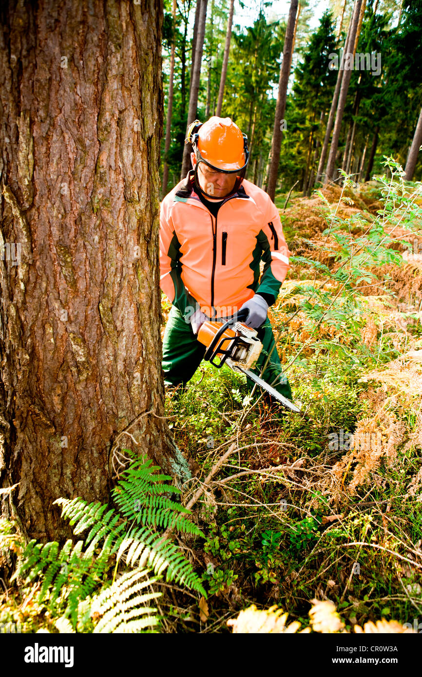 Chainsaw saws hi-res stock photography and images - Page 11 - Alamy
