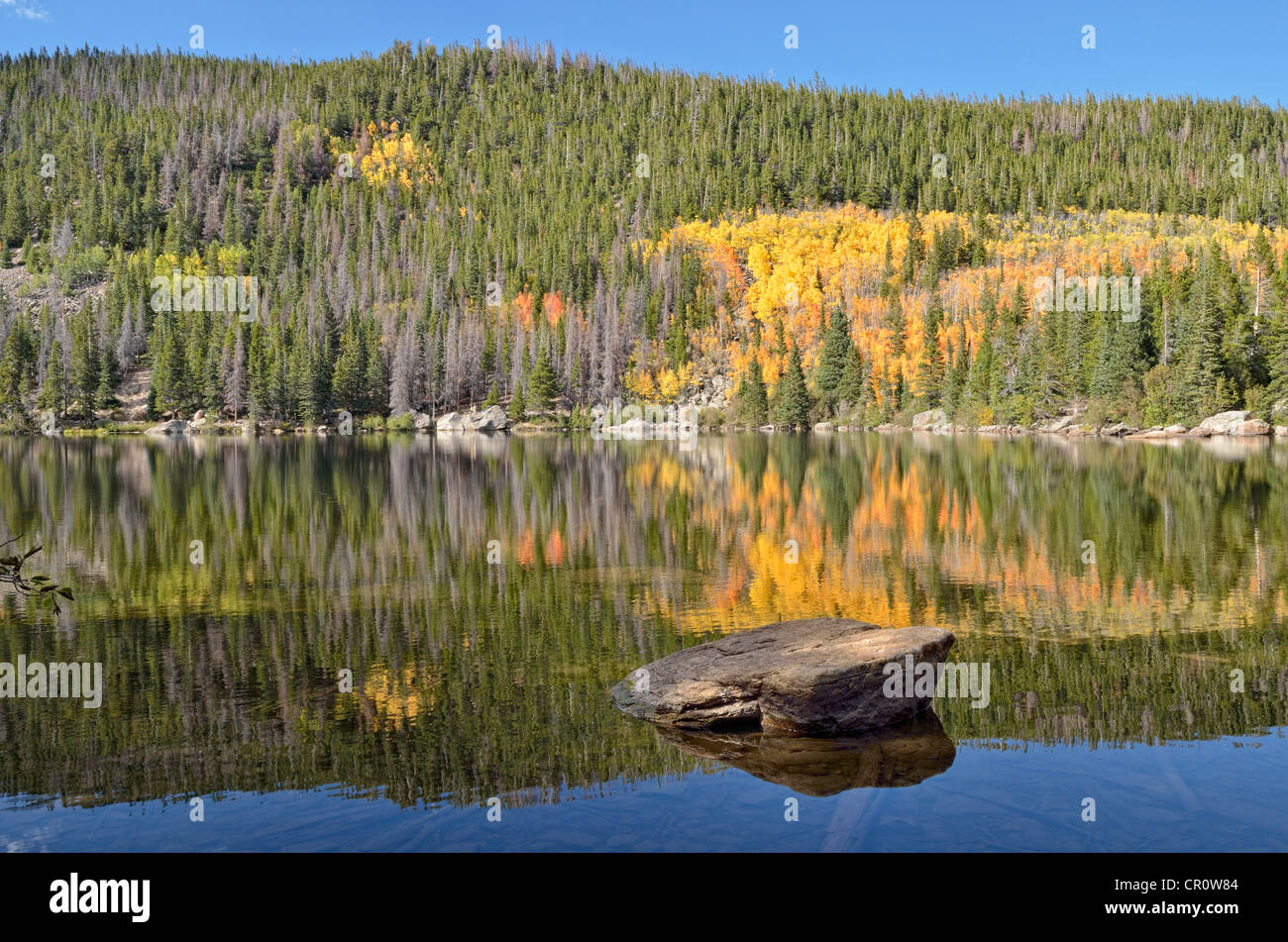 The autumnal landscape is reflected in Bear Lake, Rocky Mountain National Park, Colorado, USA Stock Photo