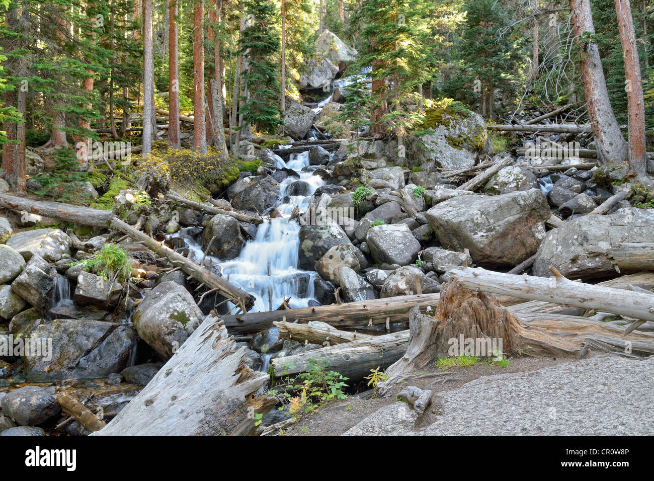 Calypso Cascades, Wild Basin, Rocky Mountain National Park, Colorado, USA Stock Photo